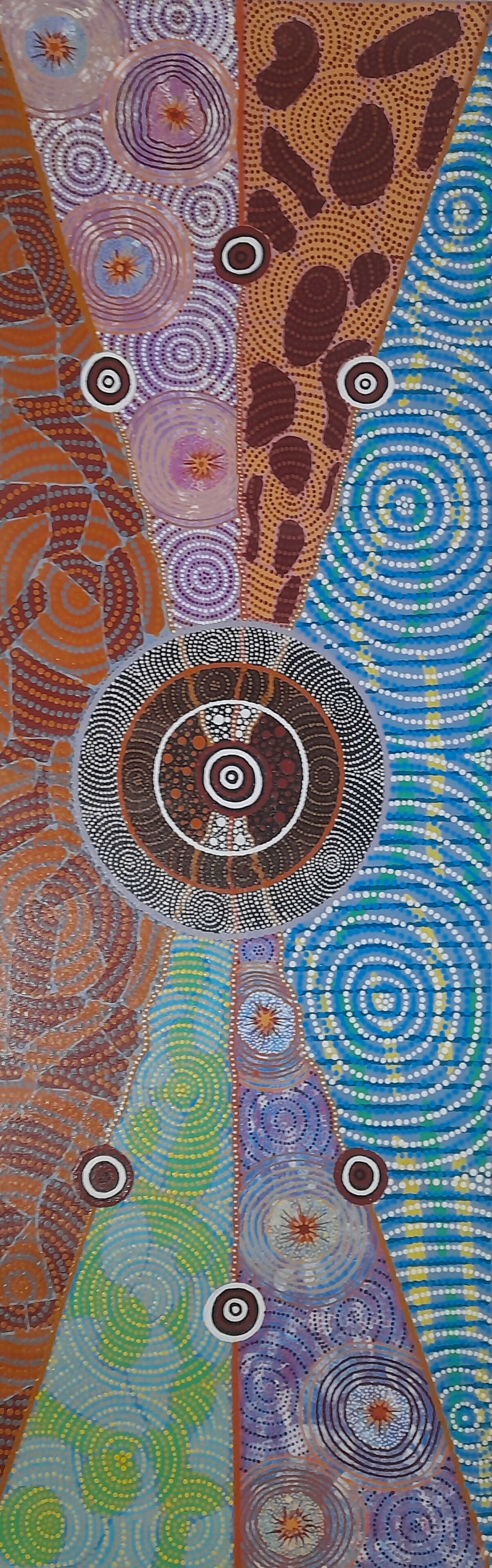 Brolga dreaming