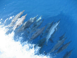Picture44