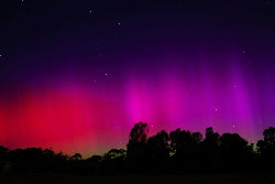 517945390_23991278120481322_8116191585709833719_n