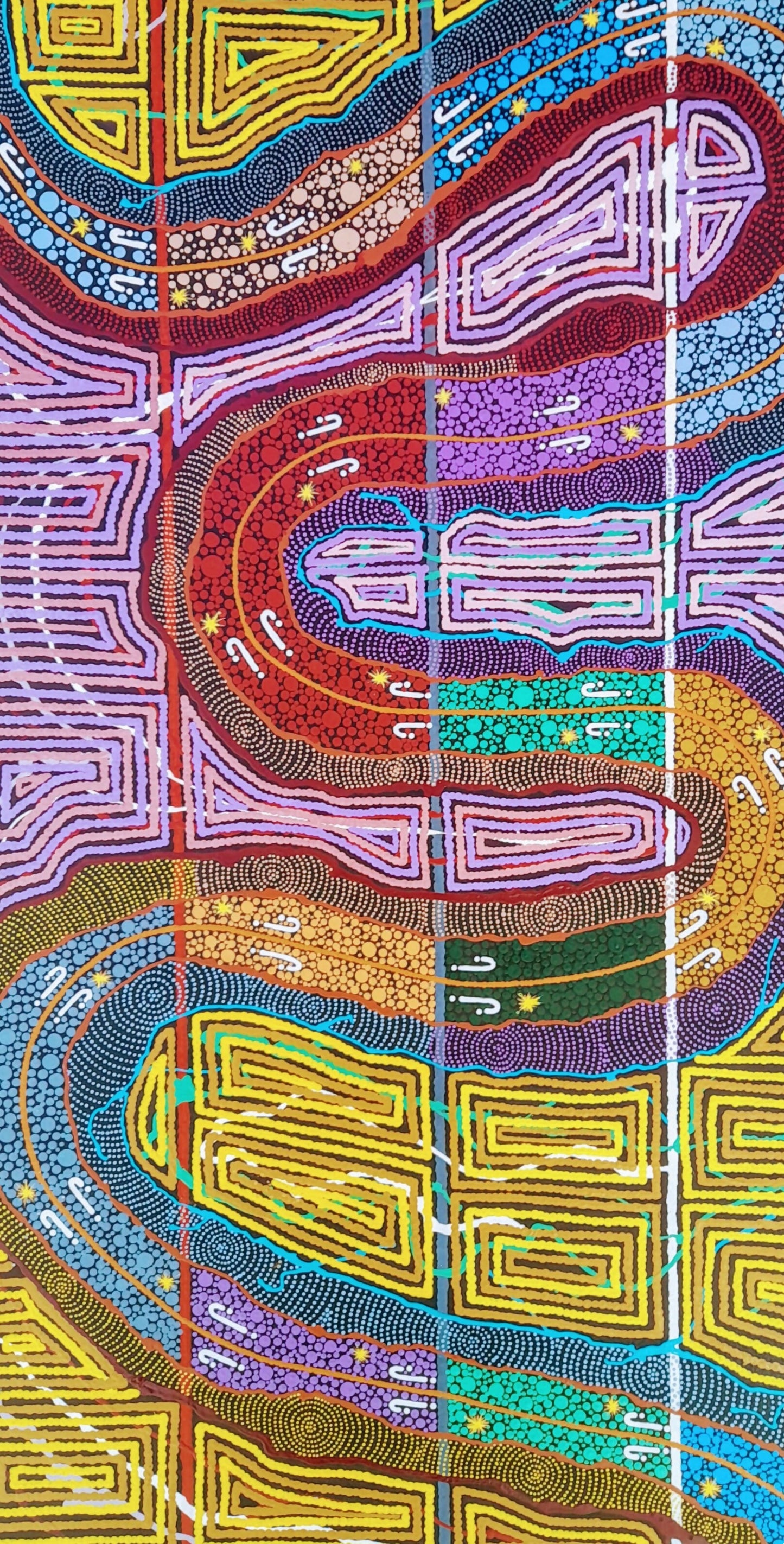 Agile Wallaby (Wampana)