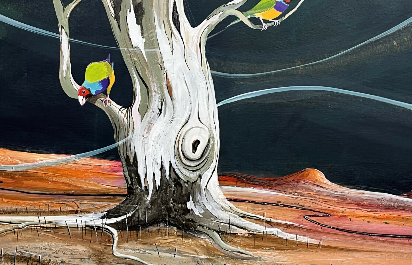 Tania-Chanter-Where-the-Gouldians-Play-Detail