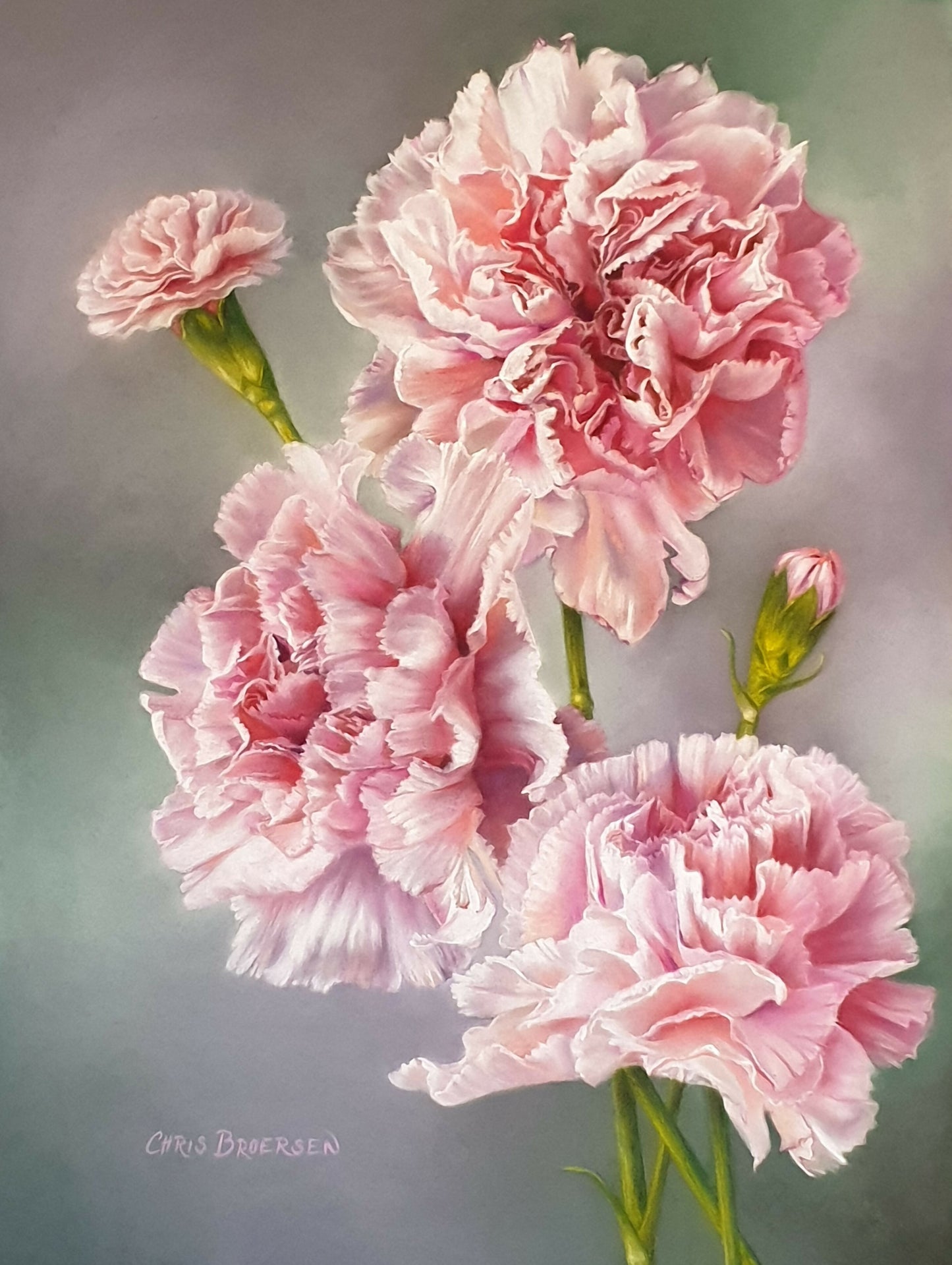 Pink Carnations
