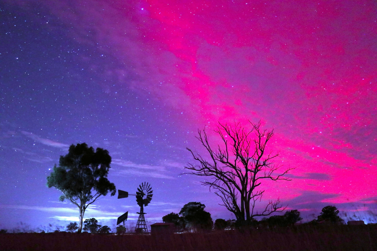 Pink Aurora