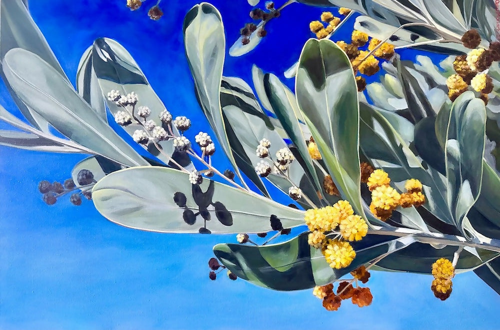 New Wattle 2023 Acrylic on thick edge Canvas 61 x 91.4 cm Image courtesy of Celia Moriarty small file copy