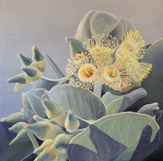 Silver Mallee