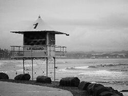 DSC_0616