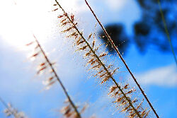 108