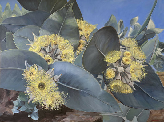 Wyola Mallee