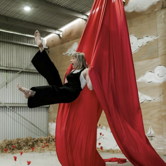 Aerial Silk Performance
